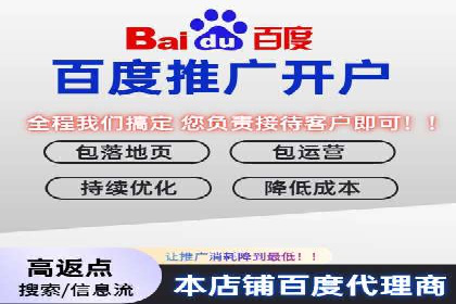 某某sem代运营公司：精准投放的背后策略
